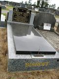 image of grave number 385337